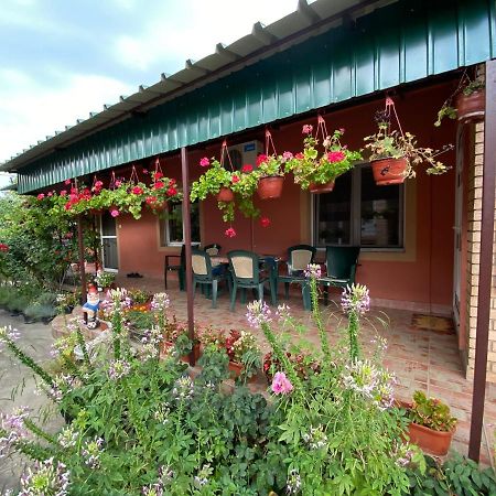 Sud ,,Antal I Olga,, Bed & Breakfast Skorenovac Exterior foto