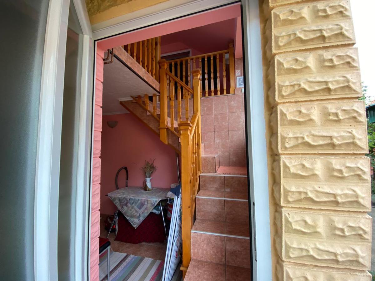 Sud ,,Antal I Olga,, Bed & Breakfast Skorenovac Exterior foto
