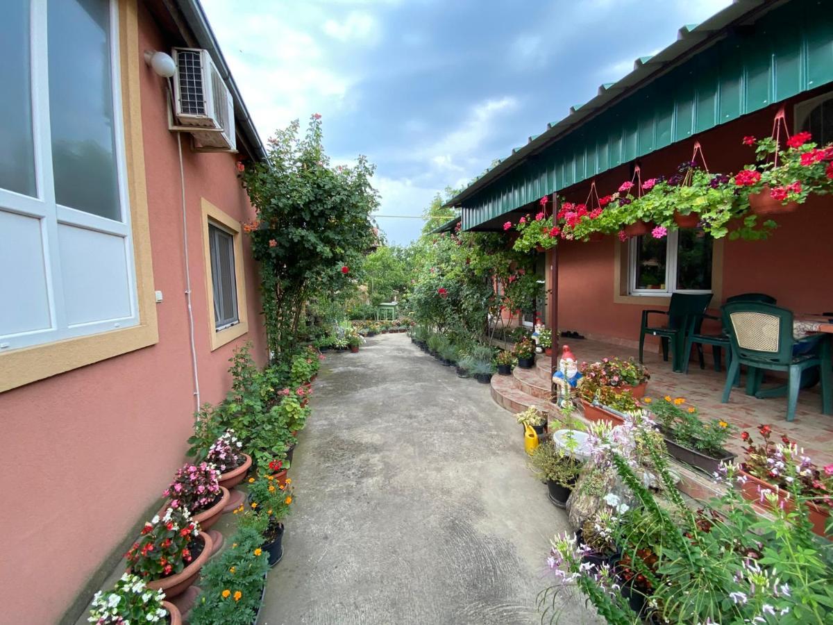 Sud ,,Antal I Olga,, Bed & Breakfast Skorenovac Exterior foto