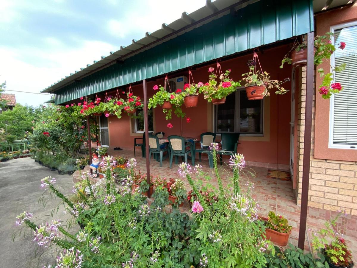 Sud ,,Antal I Olga,, Bed & Breakfast Skorenovac Exterior foto