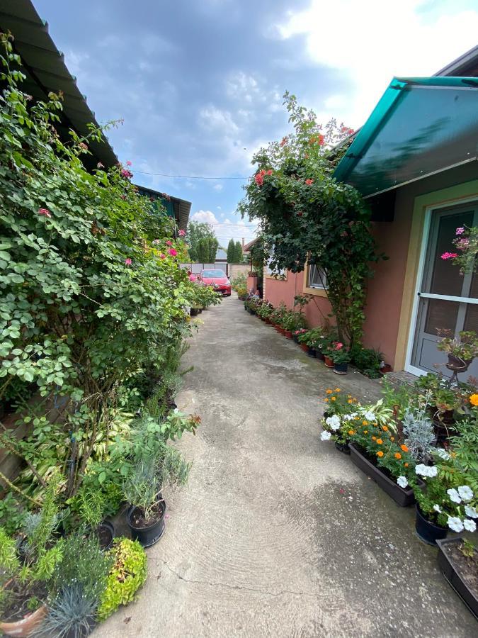 Sud ,,Antal I Olga,, Bed & Breakfast Skorenovac Exterior foto