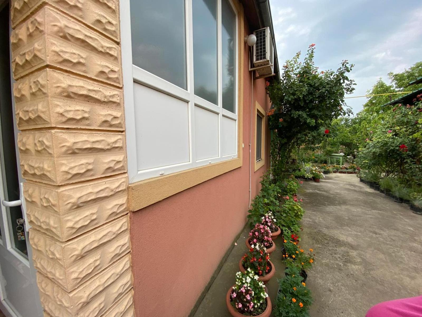 Sud ,,Antal I Olga,, Bed & Breakfast Skorenovac Cameră foto